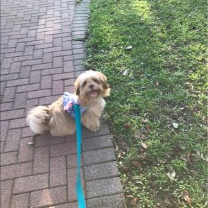 Meet your Posher, Amber