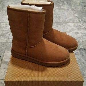 Uggs classic short boots