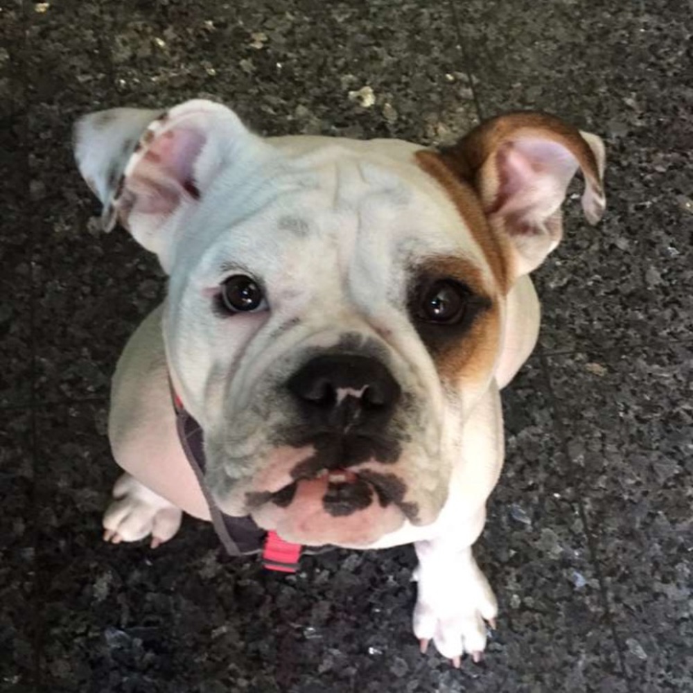 Meet your Posher, Michelle