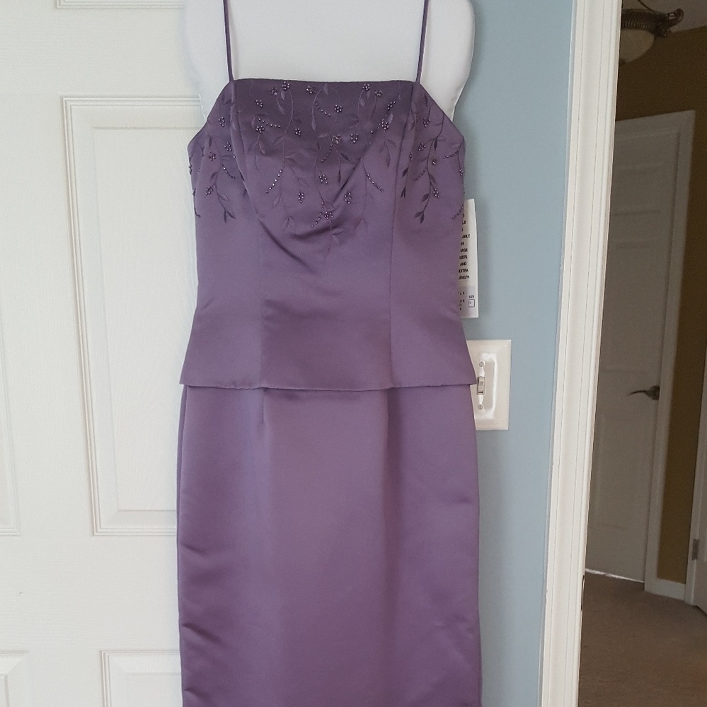 Beautiful Bill Levkoff dress