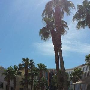 Meet your Posher, Tabitha