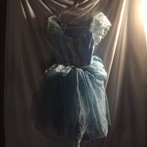 Cinderella costume