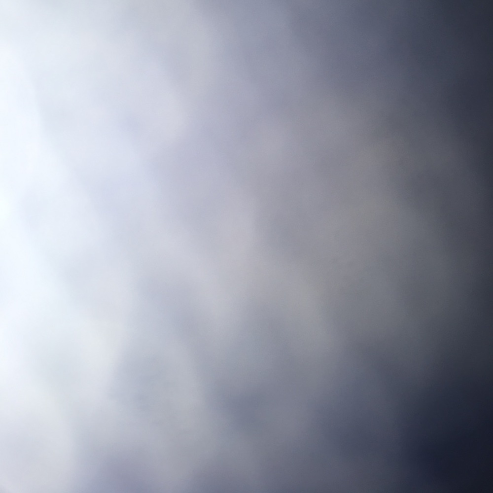 Meet your Posher, Shanice