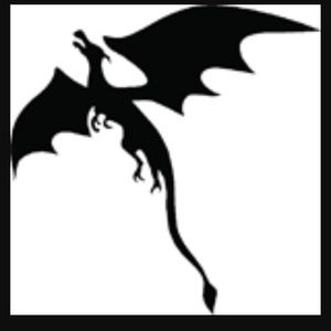 Meet your Posher, Shay