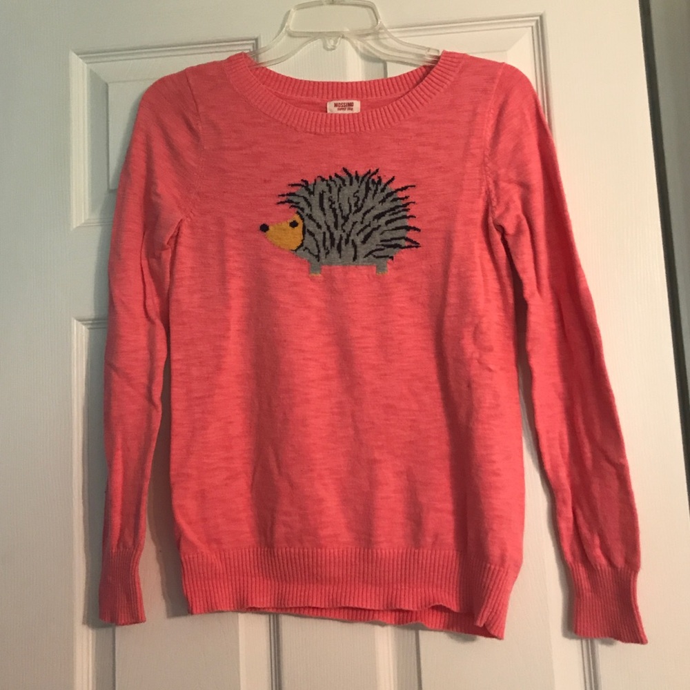 Hedgehog Sweater