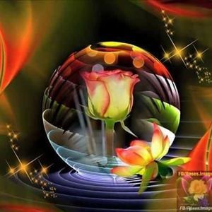 Meet your Posher, Robin