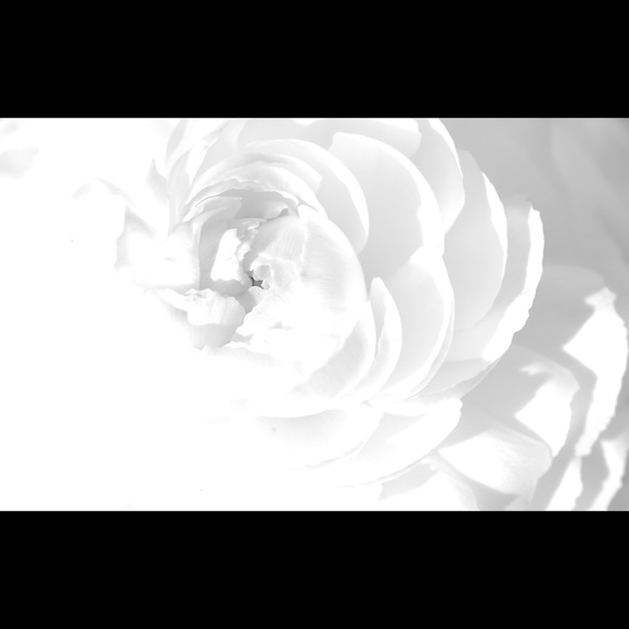 Meet your Posher, Carmen - Picture 1 of 1