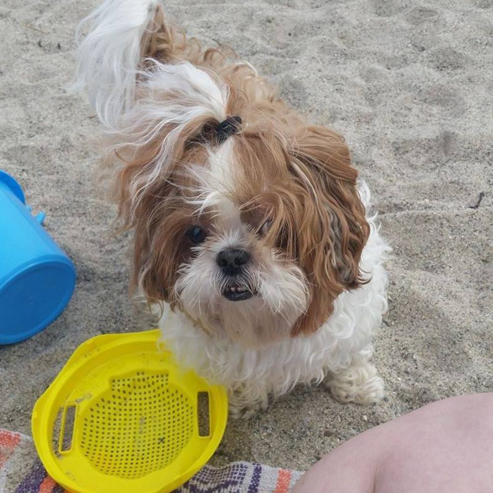 Meet your Posher, Amy