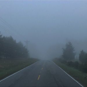 Meet your Posher, Dakota