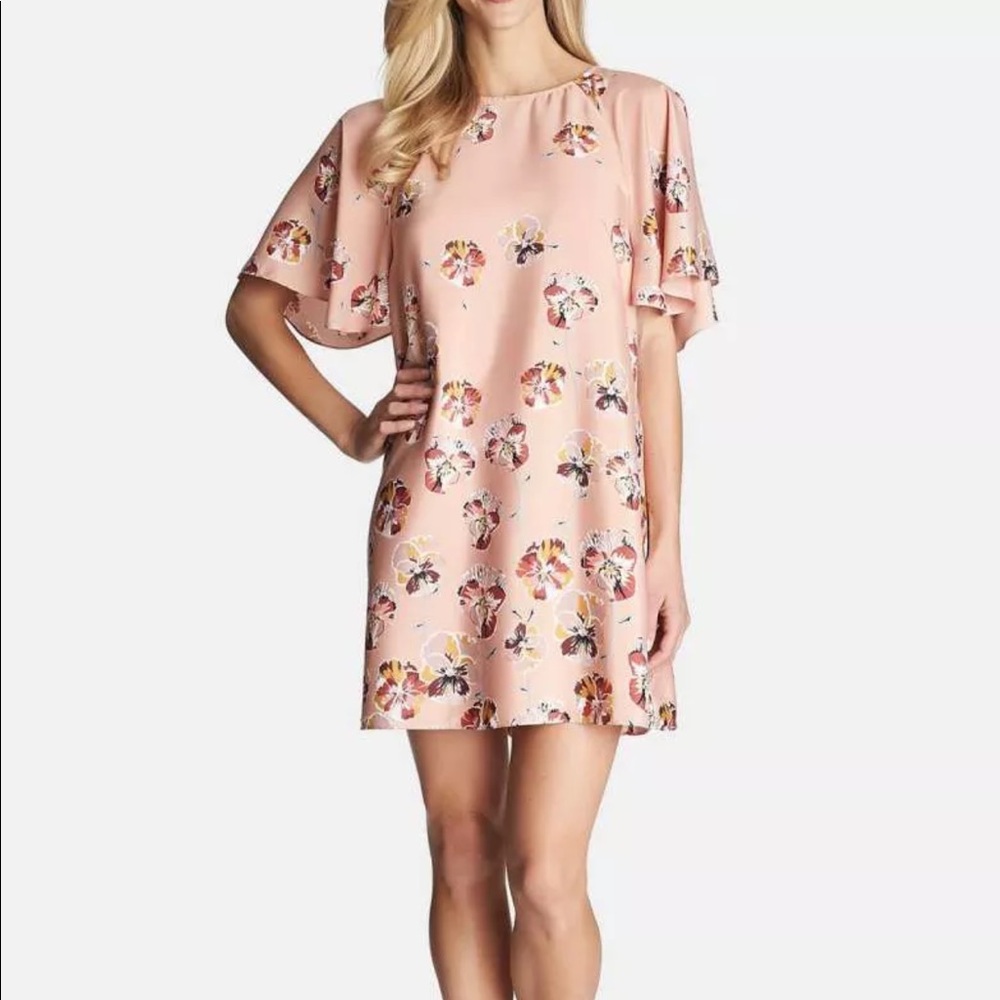 Cynthia Steffe Floral Print Flutter Sleeve dress