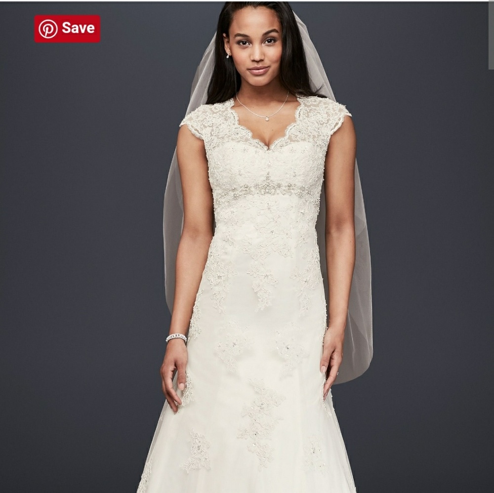 David's bridal gown new with tags