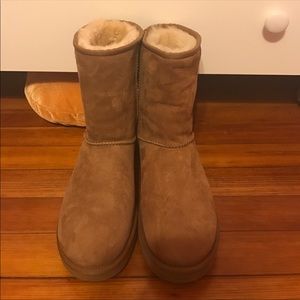 Ugg Classic Short in Chestnut
