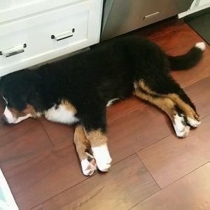 Meet your Posher, Cathy