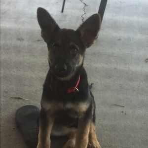 Meet your Posher, Jenelle