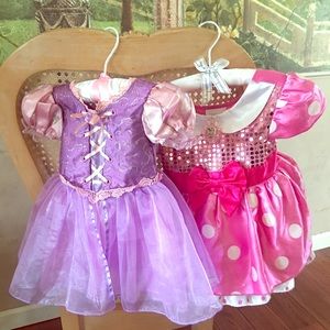 DISNEY PRINCESS COSTUME