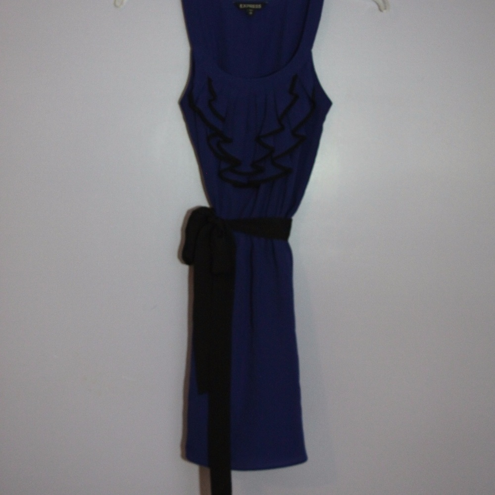 Blue Ruffled Mini Dress - Picture 4 of 4