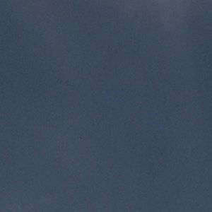 Meet your Posher, Trevor