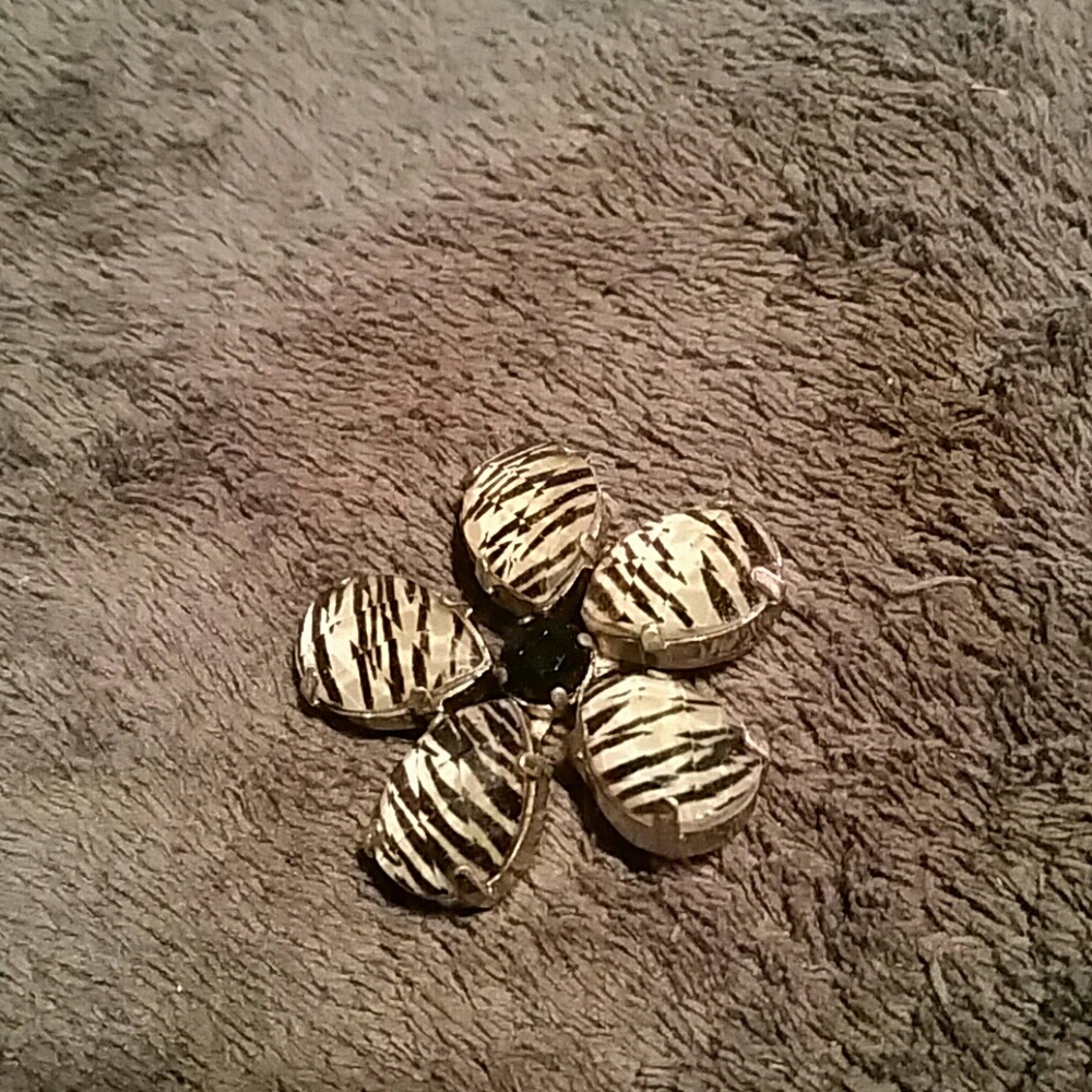Zebra pin on brooch
