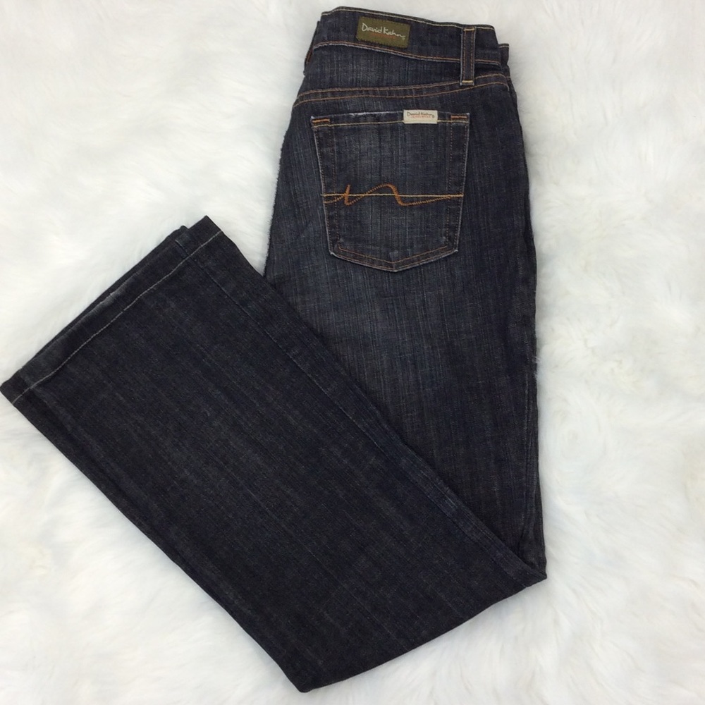David Kahn Lauren Jeans - Picture 1 of 8