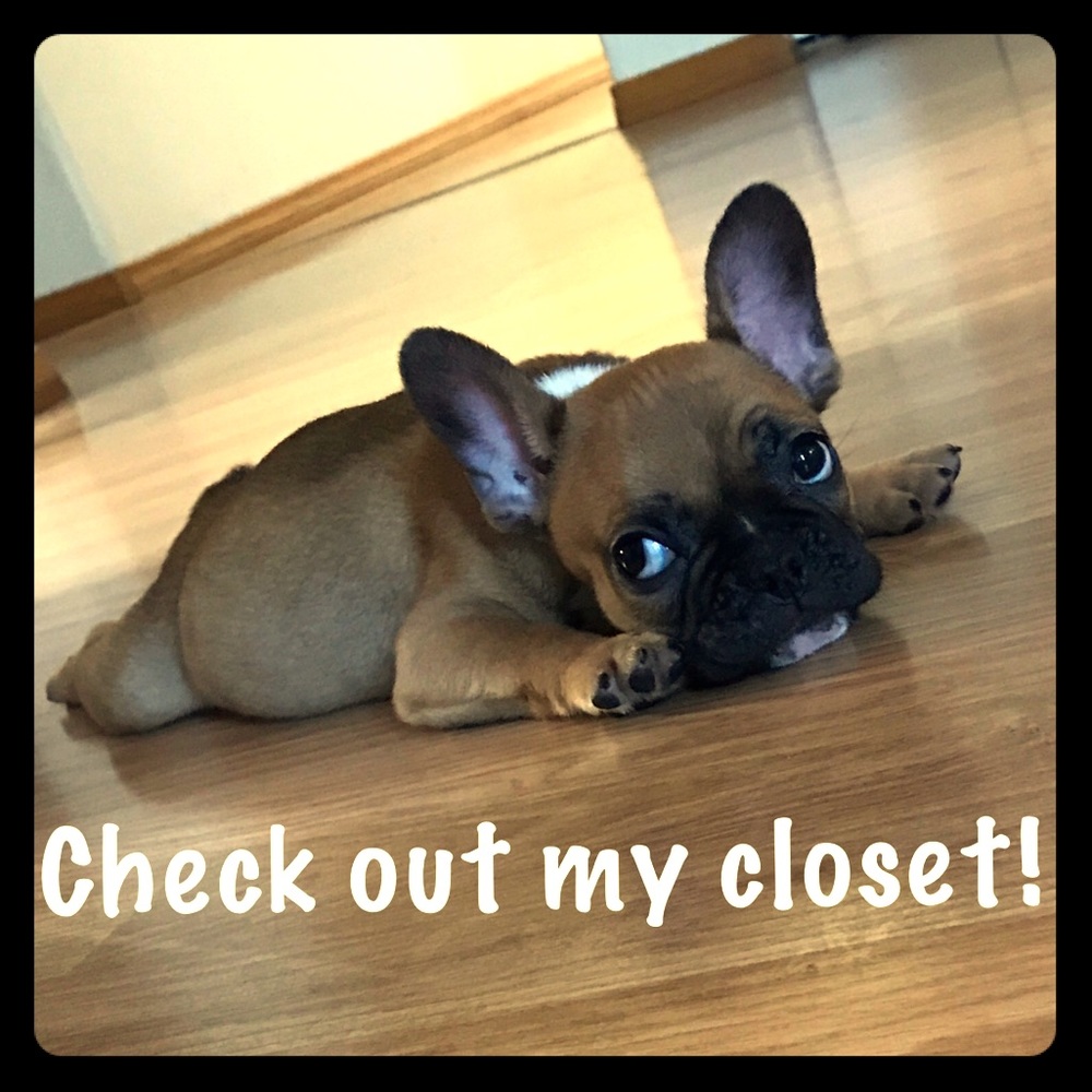 Always find something you need!