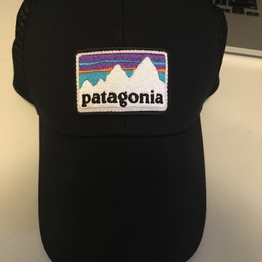 Patagonia Trucker Hat
