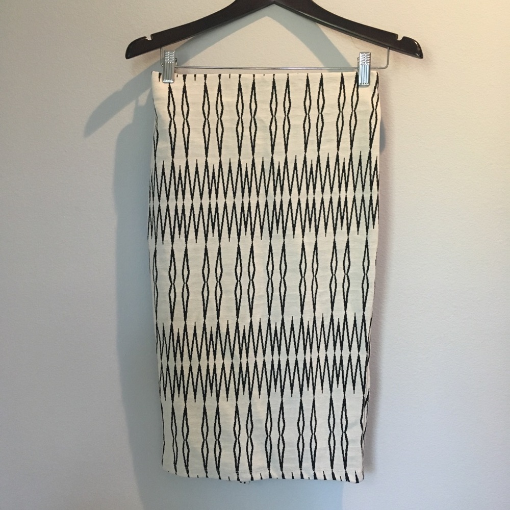 Zara Stretch Skirt