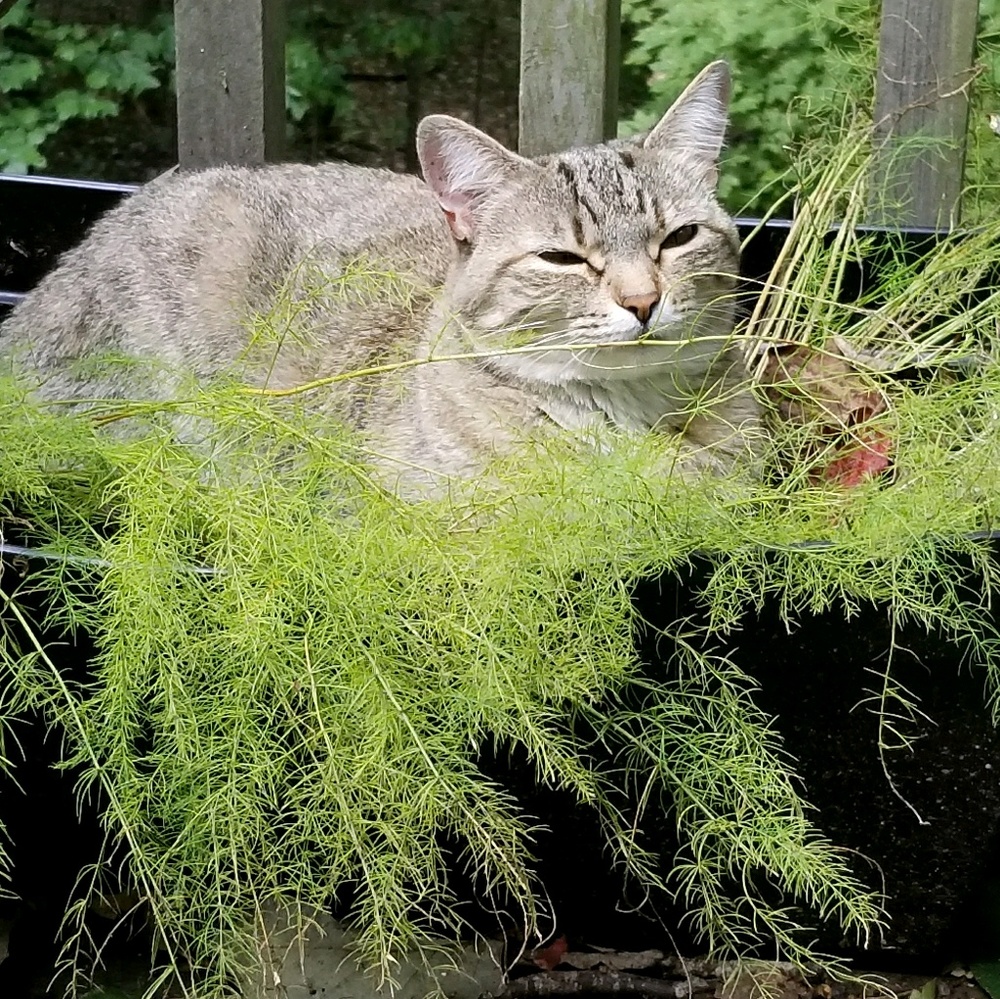 Meet your Posher, Shanna