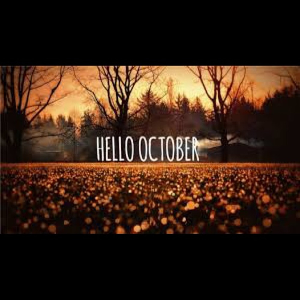 Meet your Posher, Lacey