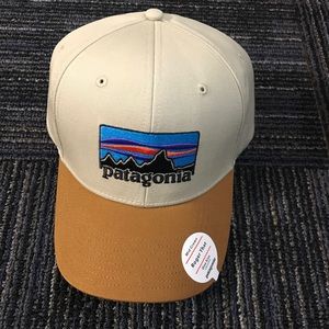 Patagonia Hat