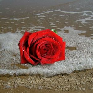 Meet your Posher, Jeanie