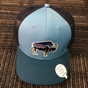 Patagonia Trucker Hat
