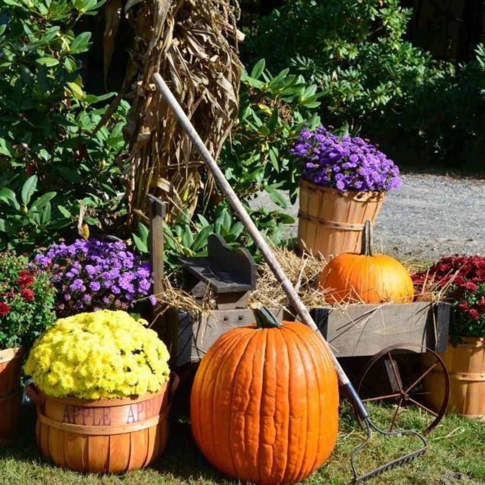 Meet your Posher, Margaret