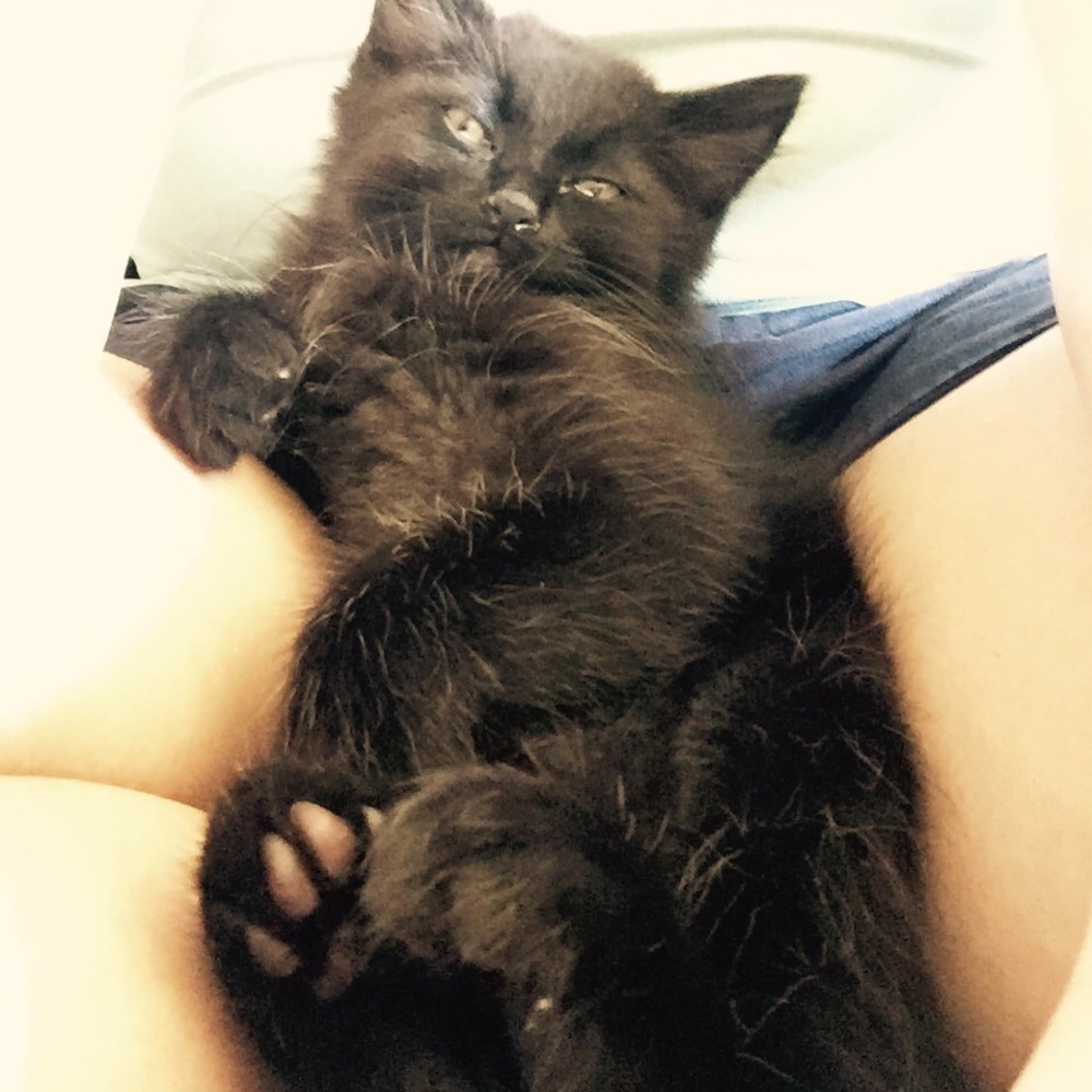 Meet your Posher, Stacy