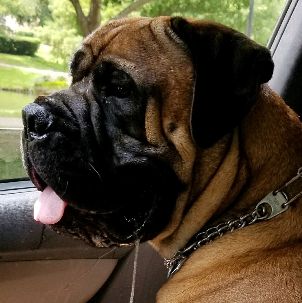 Meet your Posher, Bre