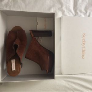 Chloe Heels (Chloé Mules) in Suede