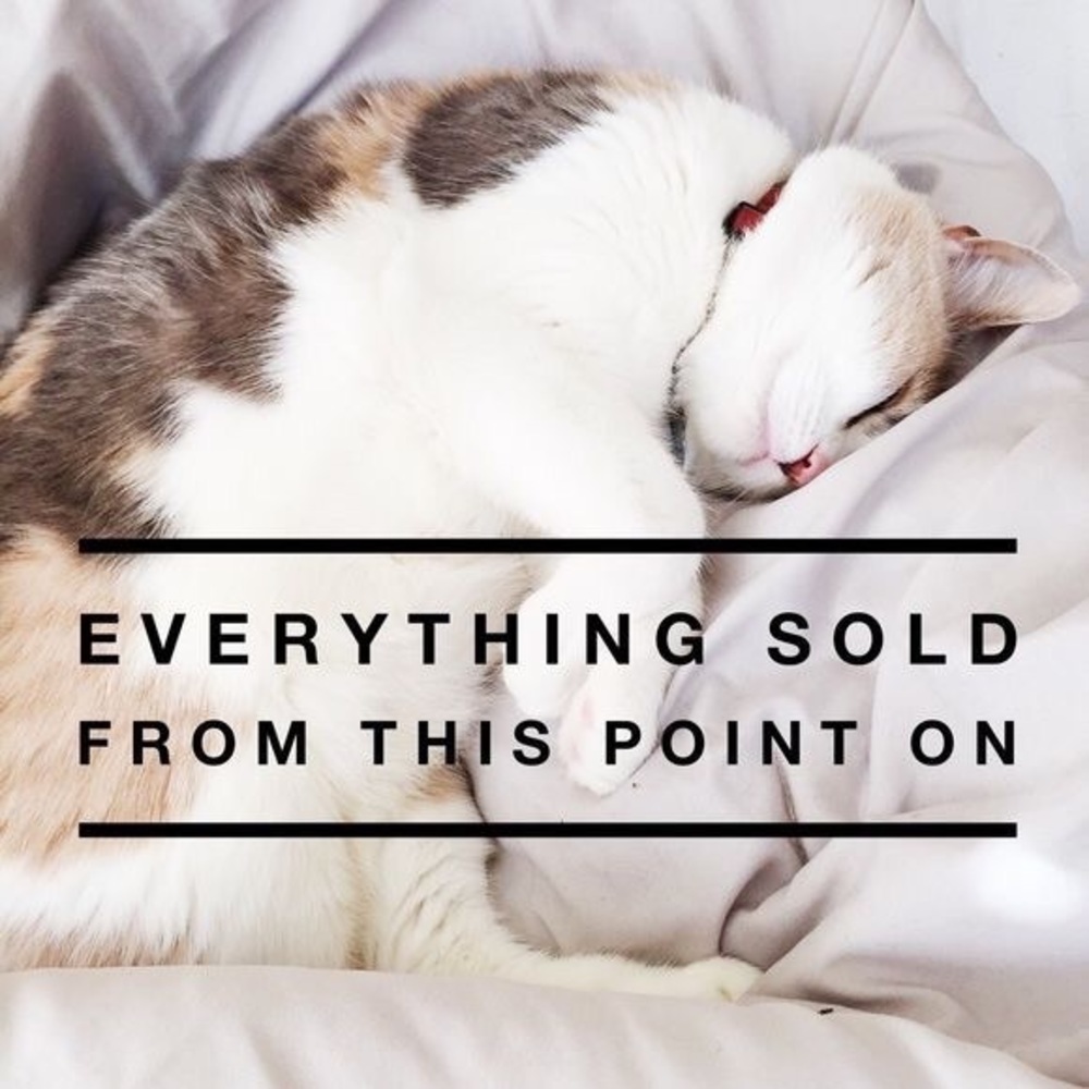 🐱