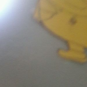 Meet your Posher, Kaycie