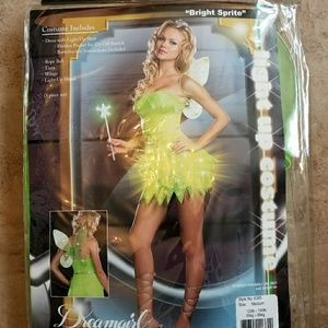 Tinkerbell/Fairy Costume
