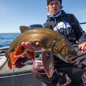 Meet your Posher, Josh