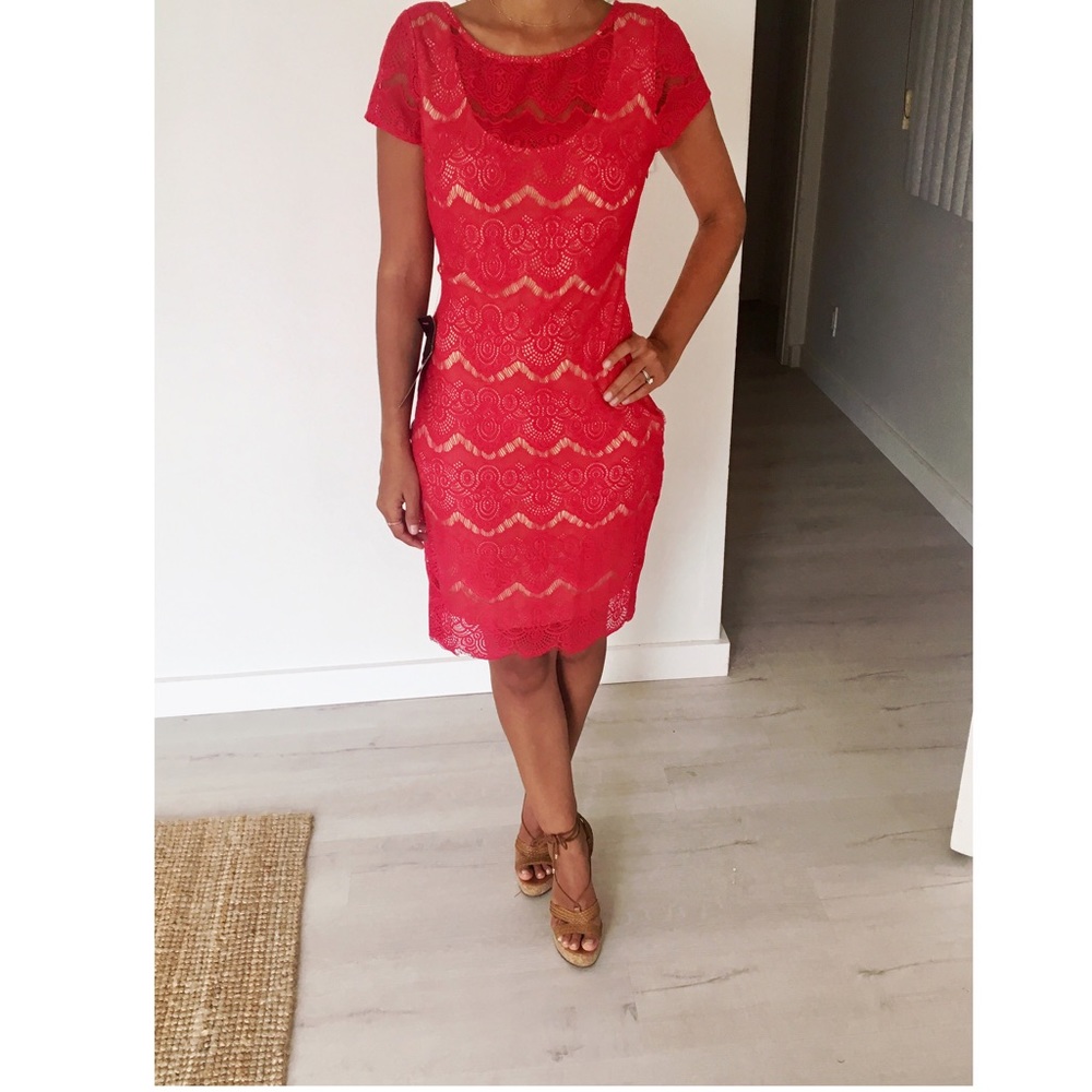 Bebe Open back Lace Dress