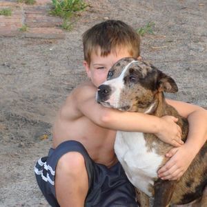 Meet your Posher, Wesley