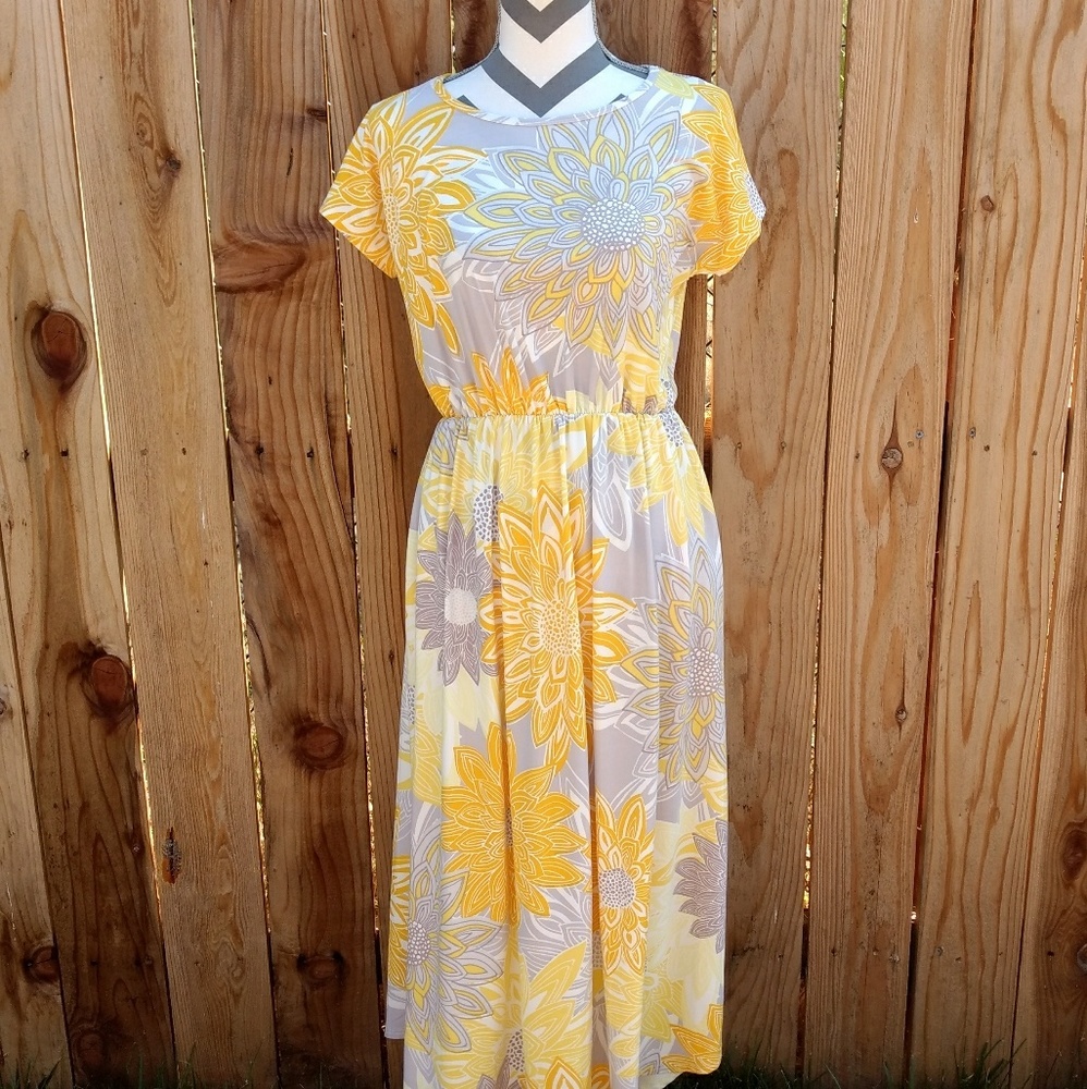 Amelia James Destin Dress