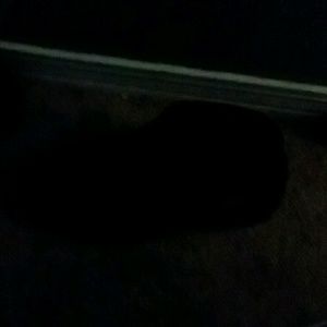 Meet your Posher, Terence