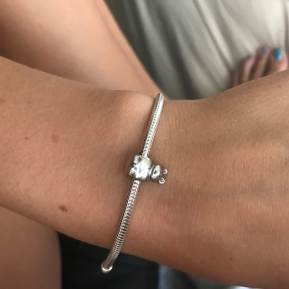 Pandora Cat/Bunny Charm