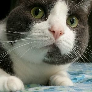 Meet your Posher, Jenna