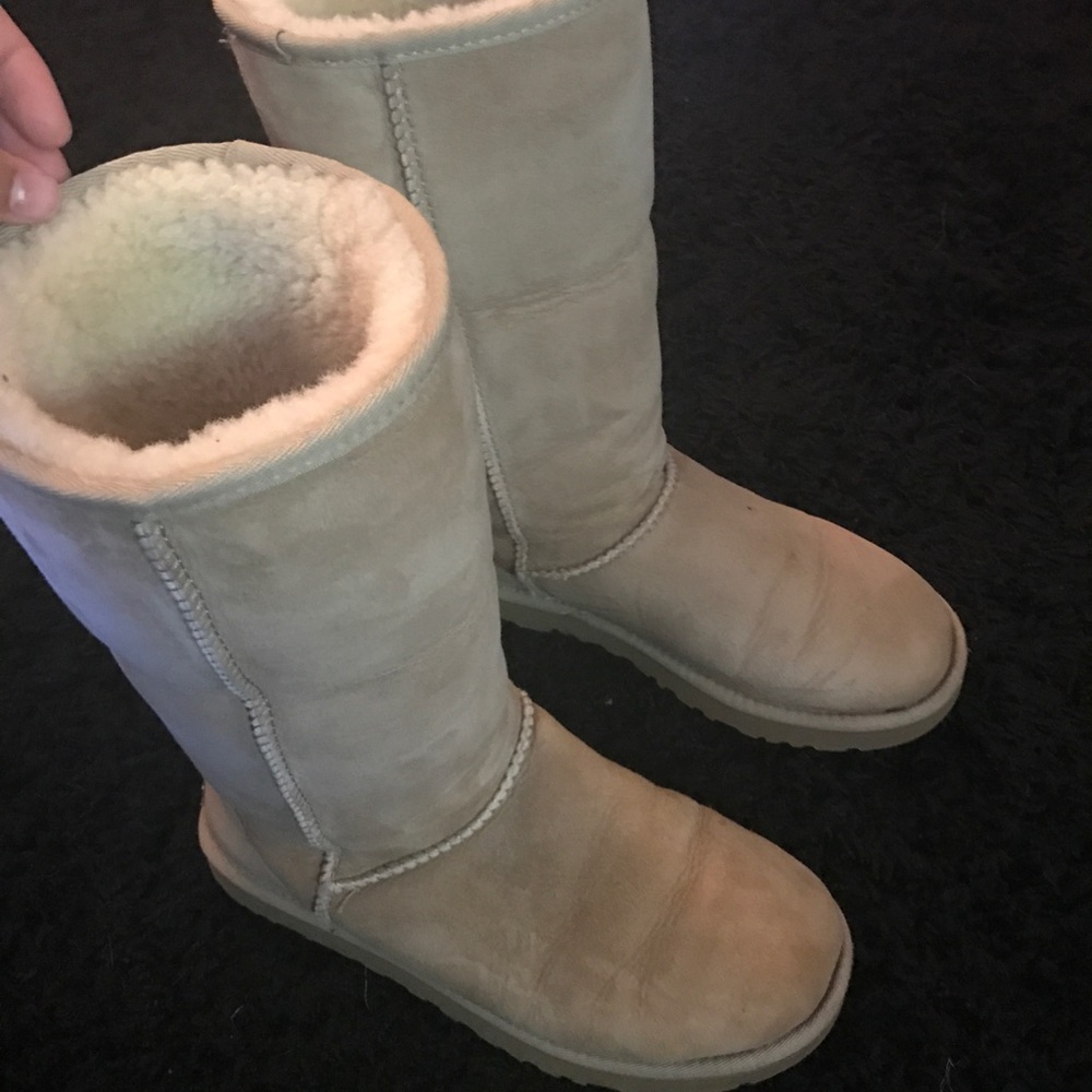 Classic tall women's UGGS