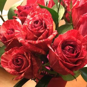 Meet your Posher, Miranda