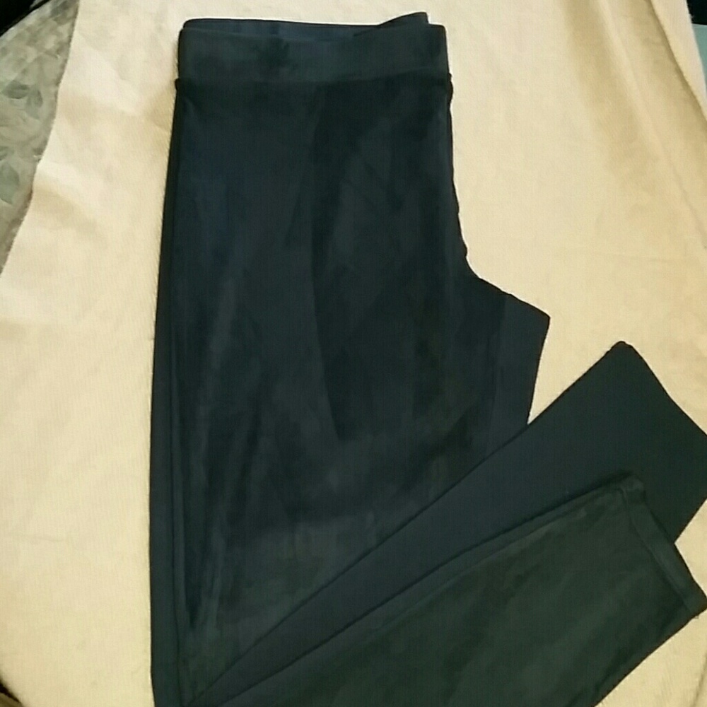 NWT THE LIMITED PANTS