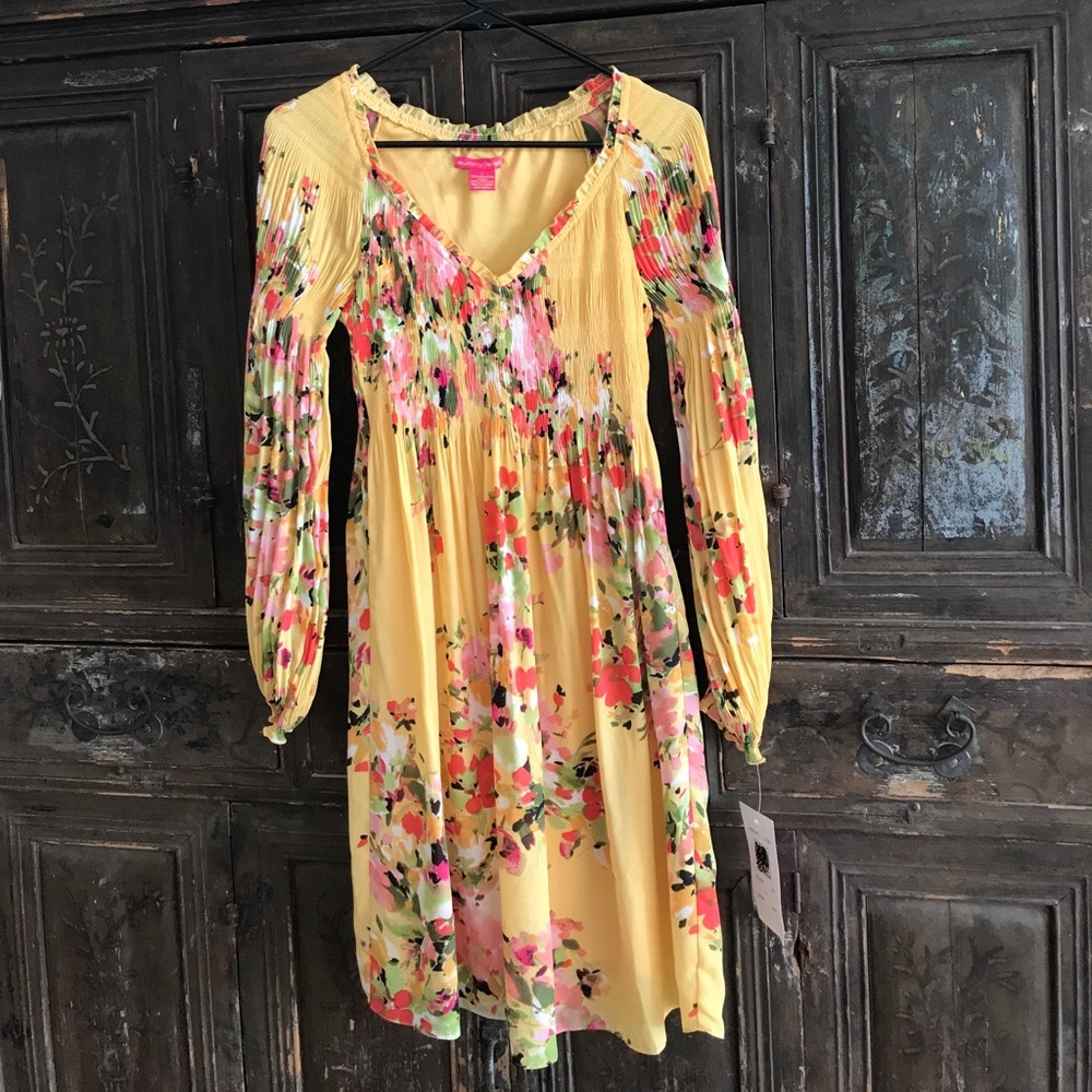 NWT sunny Leigh dress