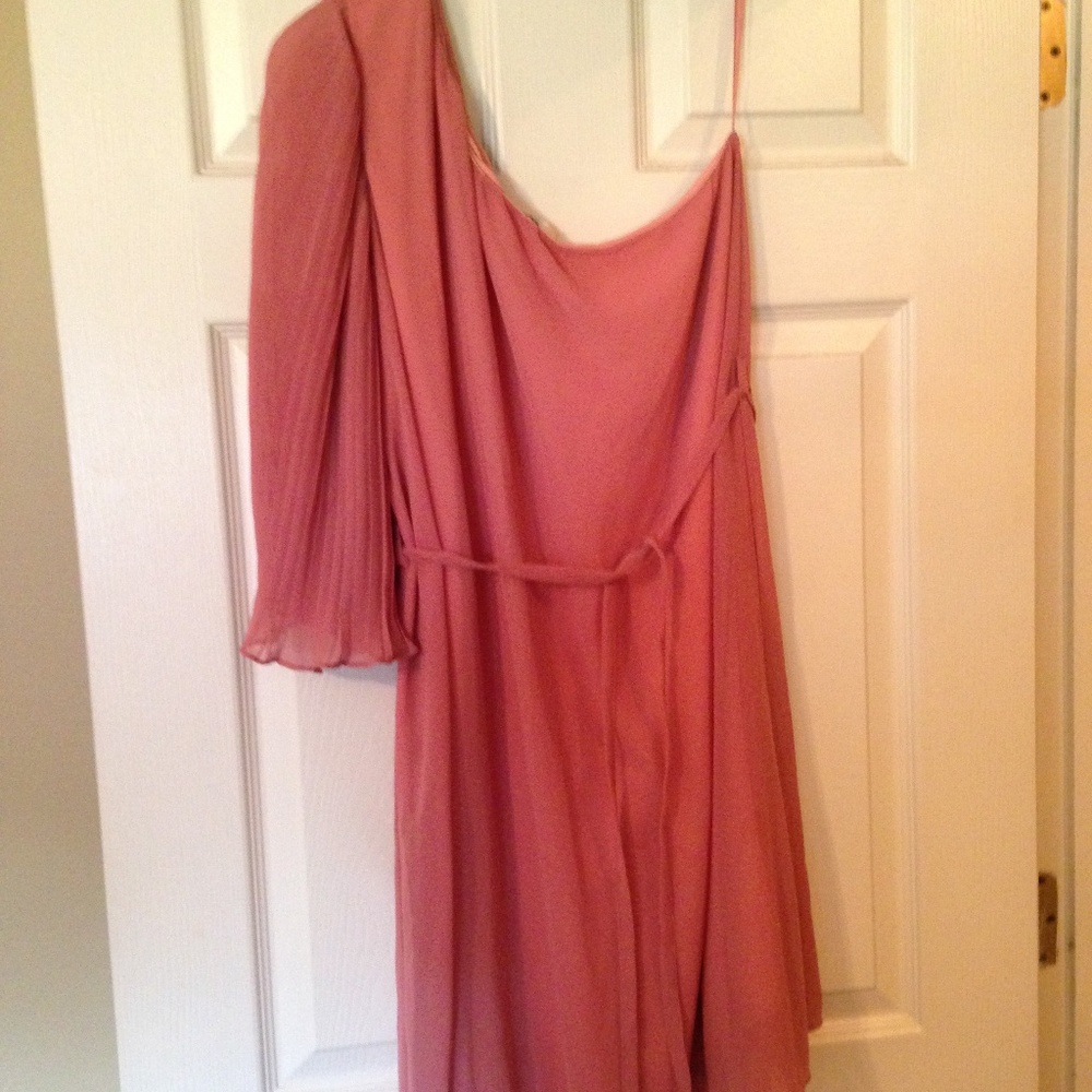 NWOT boutique dress size L